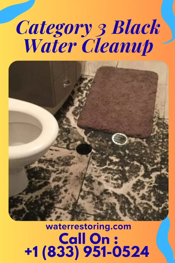 Category 3 Black Water Cleanup in Crosby, MN
